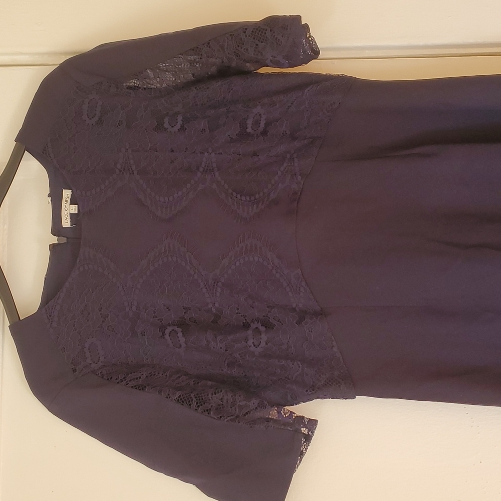 Lace & Mesh dark blue vintage style dress